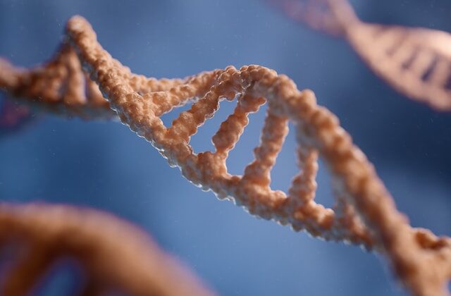 biogenetika-genes-alimentação